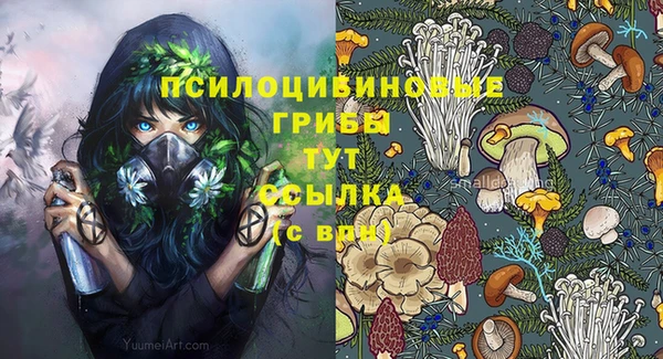 мяу мяу мука Баксан